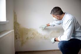 Best Mold Remediation for Healthcare Facilities  in Decherd, TN